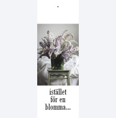 istället för en blomma 